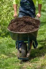 Quality Cut Lawn Care photo 2