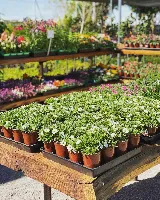 Grover Landscape Services Inc photo 6