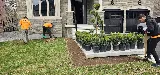 S.N.G Landscaping photo 3