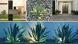 Paradise Landscaping Las Vegas photo 8