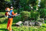 mosquito.buzz - Mosquito Control Sarnia photo 5