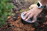 Remedy Pest Control photo 4