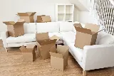 Raptor Movers photo 2