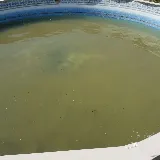 Priority Pool Service photo 7