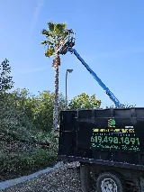 SouthWest Environments Landscape Services photo 5