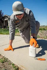 Vertex Pest Control photo 6