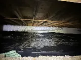 EcoCare Pest Control photo 7