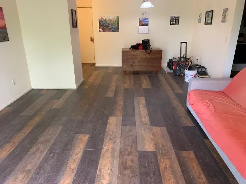 The Floor King photo 1