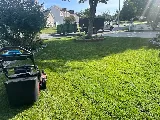 A Vision Landscaping, Lawn Care & Fences LLC