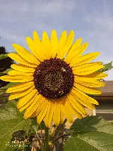 Home-Tite Pest Control & Proofing photo 2
