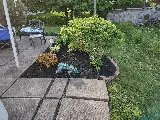 Price Landscaping Services photo 3
