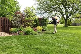 Ryan Lawn & Tree photo 7