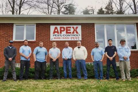 Apex Pest Control Asheville in Asheville