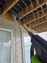 Saela Pest Control photo 7