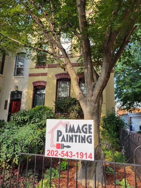 Image Painting in Arlington