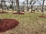 Greenscapes Lawn and Landscape LLC photo 2