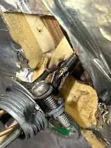 Monkey Junction Electric photo 6