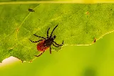 Valley Wide Pest Control Inc. photo 7