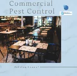 Pro Tech Pest Elimination Inc. photo 6