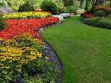 TerraCrest Landscaping of North Vancouver photo 3