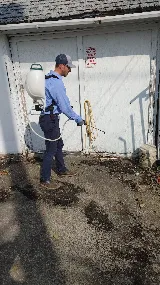 Insight Pest Solutions