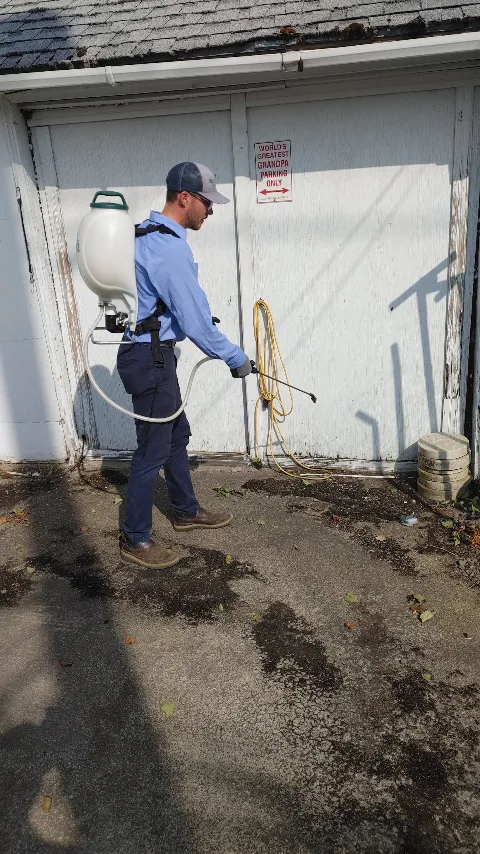 Insight Pest Solutions photo 1