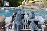 Gunite Pools of Westchester photo 3