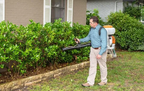 Pestmaster Services in Kingston