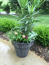 Gardenalia LLC photo 6