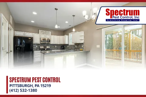 Spectrum Pest Control in Pittsburgh