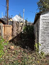 Bnl trees and landscaping photo 8