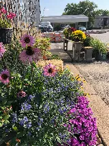 All Around Town photo 5