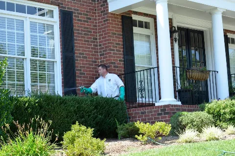 Bulwark Exterminating in Knoxville