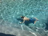 Blue Diamond Pools Inc photo 7