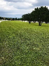 Zion Landscape Co. photo 7
