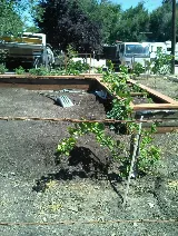 Rudy's Custom Concrete & Stone photo 6