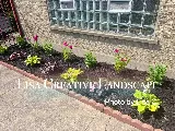 Lisa Creative Landscape LLC photo 3