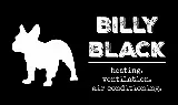 Billy Black HVAC of San Angelo photo 7