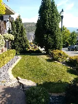 VitaNova Landscape Ltd. photo 9