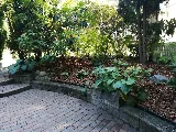 Redwoods Landscaping Inc photo 8