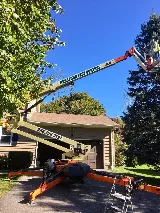 Ransford Pest Control photo 3
