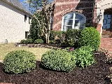 Elite Grounds Lawn & Landscaping photo 3