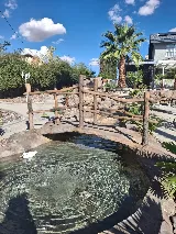 Rock of Ages Landscapes & Pools photo 5