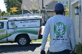 Better Termite & Pest Control photo 7