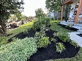 Jose’s Landscaping llc photo 2