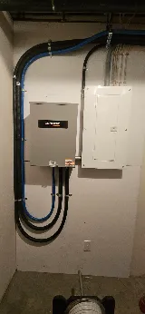 Dettling Electric Ltd photo 3