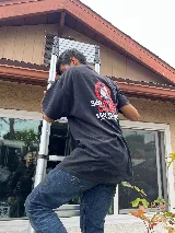 360 Rodent Control photo 5