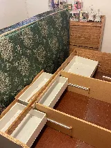 Quality Pest Control Gta Whitby photo 7