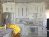 Flora Brothers Painting photo 6