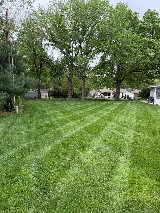 Twin Bros Lawn Care & Landscaping LLC photo 2